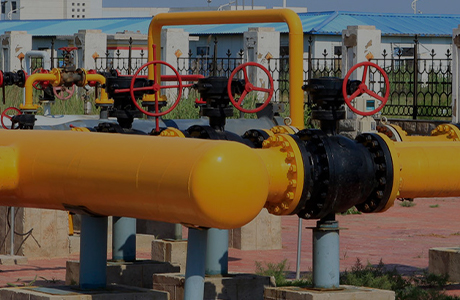 กลุ่มบริษัทได้รับใบอนุญาตการผลิตผลิตภัณฑ์อุตสาหกรรม